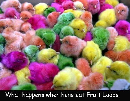 Easter Rainbow Chicks